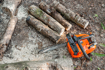 Gasoline powered professional chainsaw on pile of cut wood and timber, lumberjack and sawdust. Selected focus