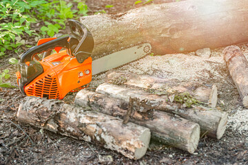 Gasoline powered professional chainsaw on pile of cut wood and timber, lumberjack and sawdust. Selected focus