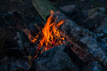 Flames of a bonfire in the forest in nature, photo of camping