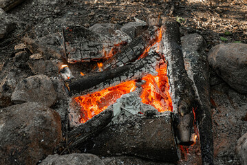 Flames of a bonfire in the forest in nature, photo of camping