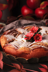 Autumn Apple pie. Homemade cakes on the background of grape leaves. Apple pie with cinnamon. Warm cake with powdered sugar