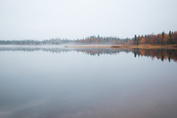 Lake and fog in autumn