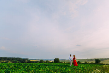 Pregnancy, motherhood, people and expectation concept, couple together in field during sunset.