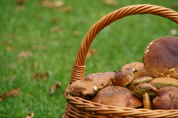 akromegalia © Magorzata