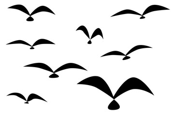 Abstract Bird Flock