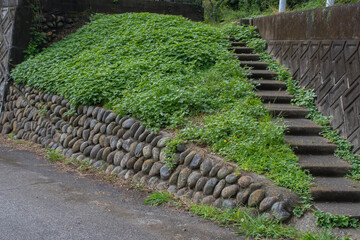 Obraz premium grass and stair on the stone wall
