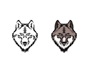 wolf head vector illustration logo design