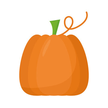 Pumkin Fruit Icon Vector Design