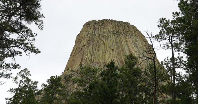 Devils Tower mountain monument forest tilt down 4K. Rock tower in Black Hills Wyoming. United States National Monument. Recreation, tourism, vacation, and rock climbing destination.