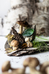 Forest mushrooms in the composition