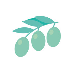 olives flat style icon vector design