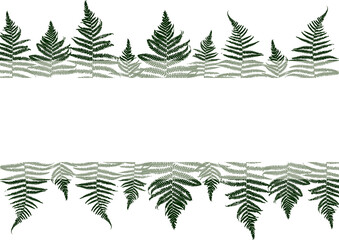 Borders with fern leaves and place for text - background for natural design
