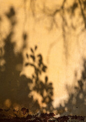 Schatten auf Hauswand