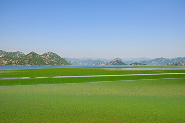 View over lake Skadar Albania
