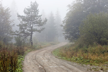 Foggy morning in mountains forest. Dirt road tourist trail in mist. Regietow Wyzny, Poland, Europe. Beskid Niski mountains.