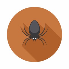 Halloween spider icon with glowing eyes, Halloween holiday.