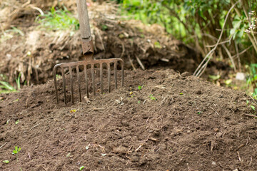 Garden fork in a compost