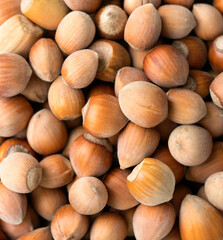 Heap of hazelnuts in a bowl, macro