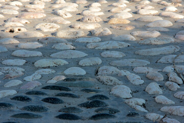 
decorative stone pavement road in the park