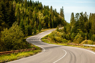 Fototapeta premium Beautiful winding road in the mountains through a coniferous forest
