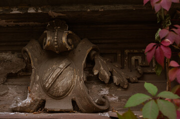 Wild grapes on the wall of old stone house, texture of an old dilapidated wall entwined with a bush of grapes. Background