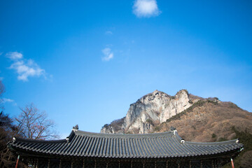 Korean temple roof covered in snow                 
