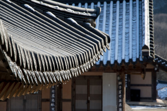 Korean temple roof covered in snow                 
