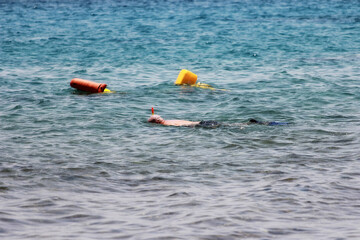 person snorkeling in the sea