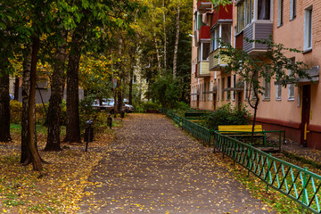 Naklejka premium street in autumn