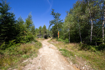 Obraz premium Mountain trail in Beskid S¹decki in Poland, autumn landscape on sunny day