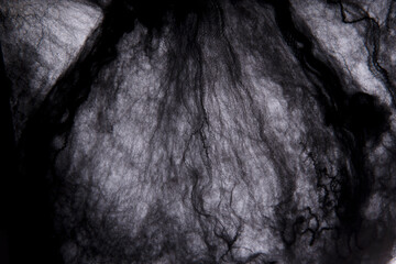 Halloween background with decorative black spider web. Artificial black web for the Halloween...