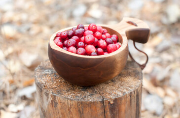 Fresh red cranberries in a wooden bowl in the autumn forest on a stump. Kuks National Wooden Mug
