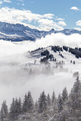 Fototapeta na wymiar Balcon sur le mont-Blanc : panorama sur le massif du Mont-Blanc, la chaîne des Aravis et la Val d'Arly, au sommet du Chard du Beurre, en Savoie