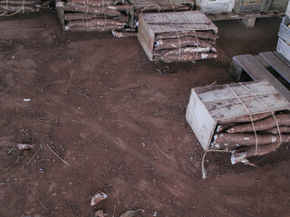 manioc boxes