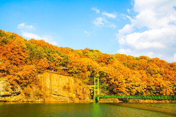 Obraz premium Collection of Beautiful Colorful Autumn Leaves reflected in the water 