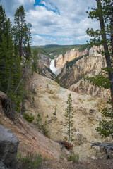lower falls of the yellowstone national park from artist point, wyoming, usa