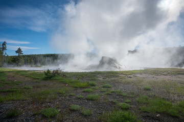 hydrothermal areas of upper geyser basin in yellowstone national park, wyoming in the usa