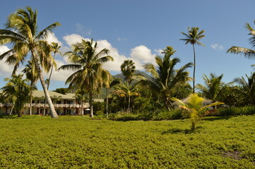 The beautiful paradise beaches on the St Kitts And Nevis Islands in the Caribbean Ocean