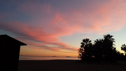 Caseta y árbol en un atardecer en la playa
