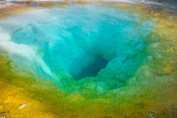 morning glory pool inupper geyser basin in yellowstone national park, wyoming in the usa