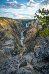 lower falls of the yellowstone national park from artist point at sunset, wyoming, usa