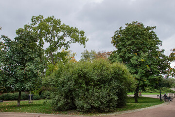 Fototapeta na wymiar Public Park in early autumn colors