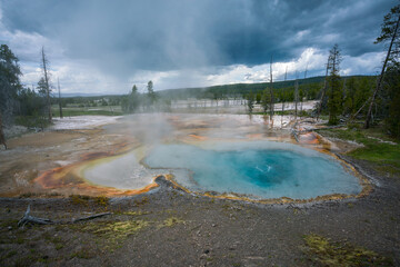 hydrothermal areas of firehole spring in yellowstone national park, wyoming in the usa