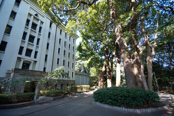 大倉山公園（神奈川県横浜市港北区）