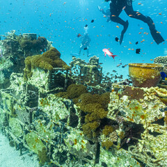 Fototapeta na wymiar An artificial reef teeming with fish. Picture from a Red Sea reef, Egypt