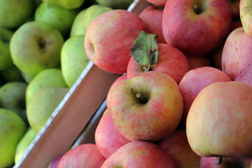 mele rosse e verdi, red and green apples