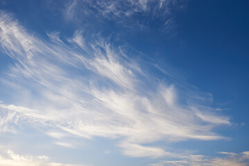Fototapeta premium Flying white clouds and blue sky in sunlight.