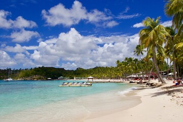 Tropical beach  with palm trees, Guadeloupe 