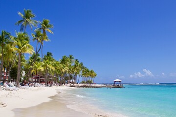 White sand beach with palm trees and tropical turquoise sea water, Guadeloupe, French Antilles  - obrazy, fototapety, plakaty