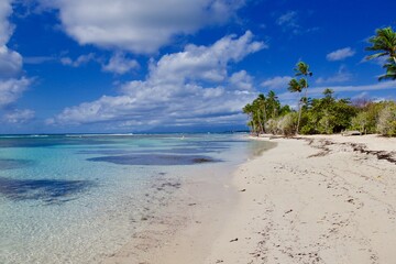Tropical carribean landscape. Jolan Bois beach in Guadeloupe island 
